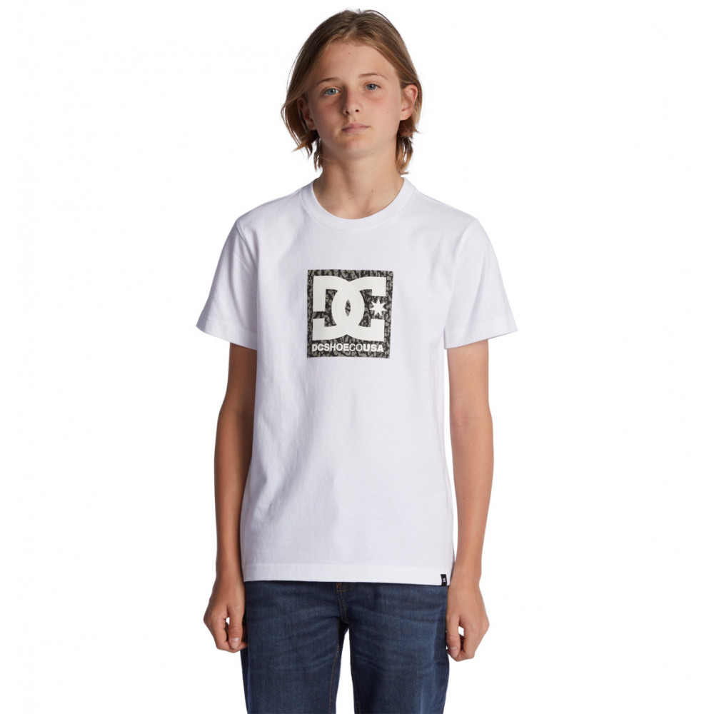 DC SQUARE STAR FILL SS BOY 男童短袖T恤
